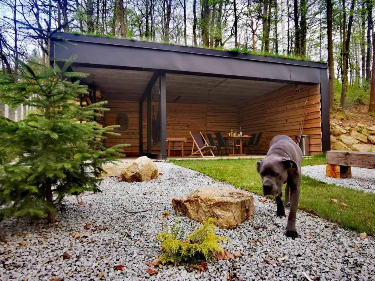 Domki Marczyce Sosnowka  Exterior photo